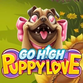 Try Go High Puppy Love slot by RubyPlay on casoocasino.co – logo image