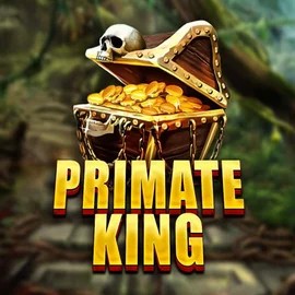 Primate King – slot by Red Tiger Gaming, featured at casoocasino.co